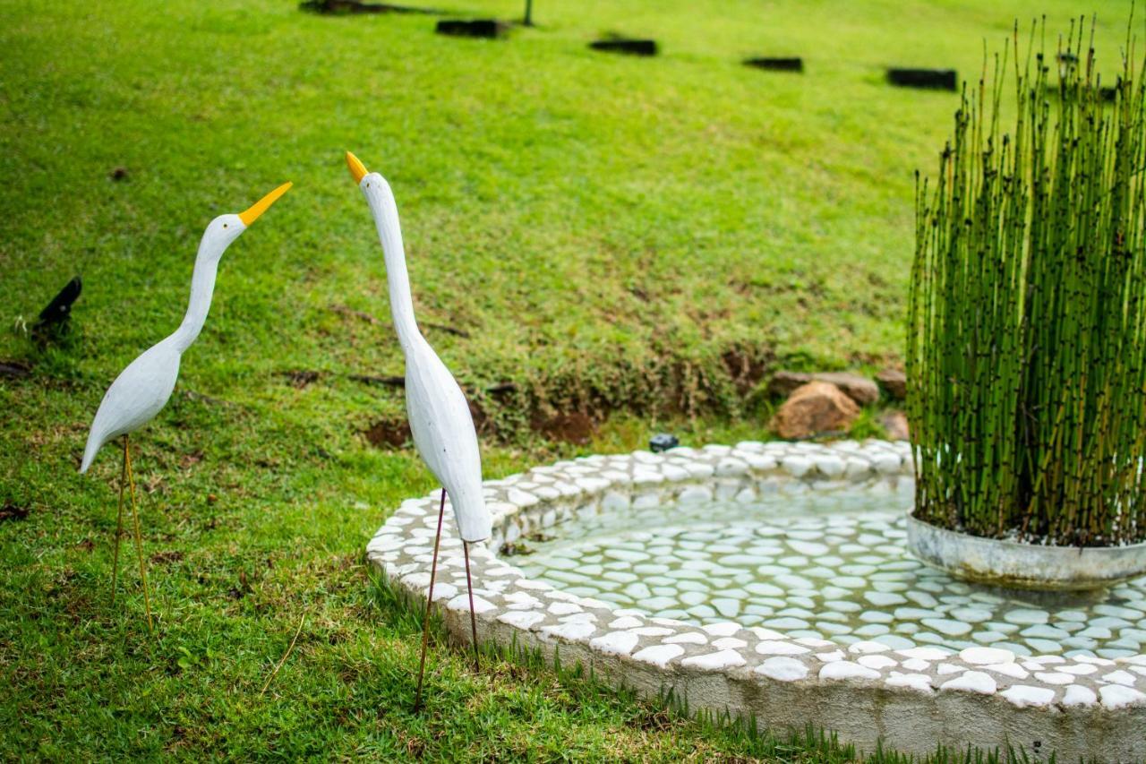 Pousada Toca Dos Tucanos Campos do Jordao Bagian luar foto
